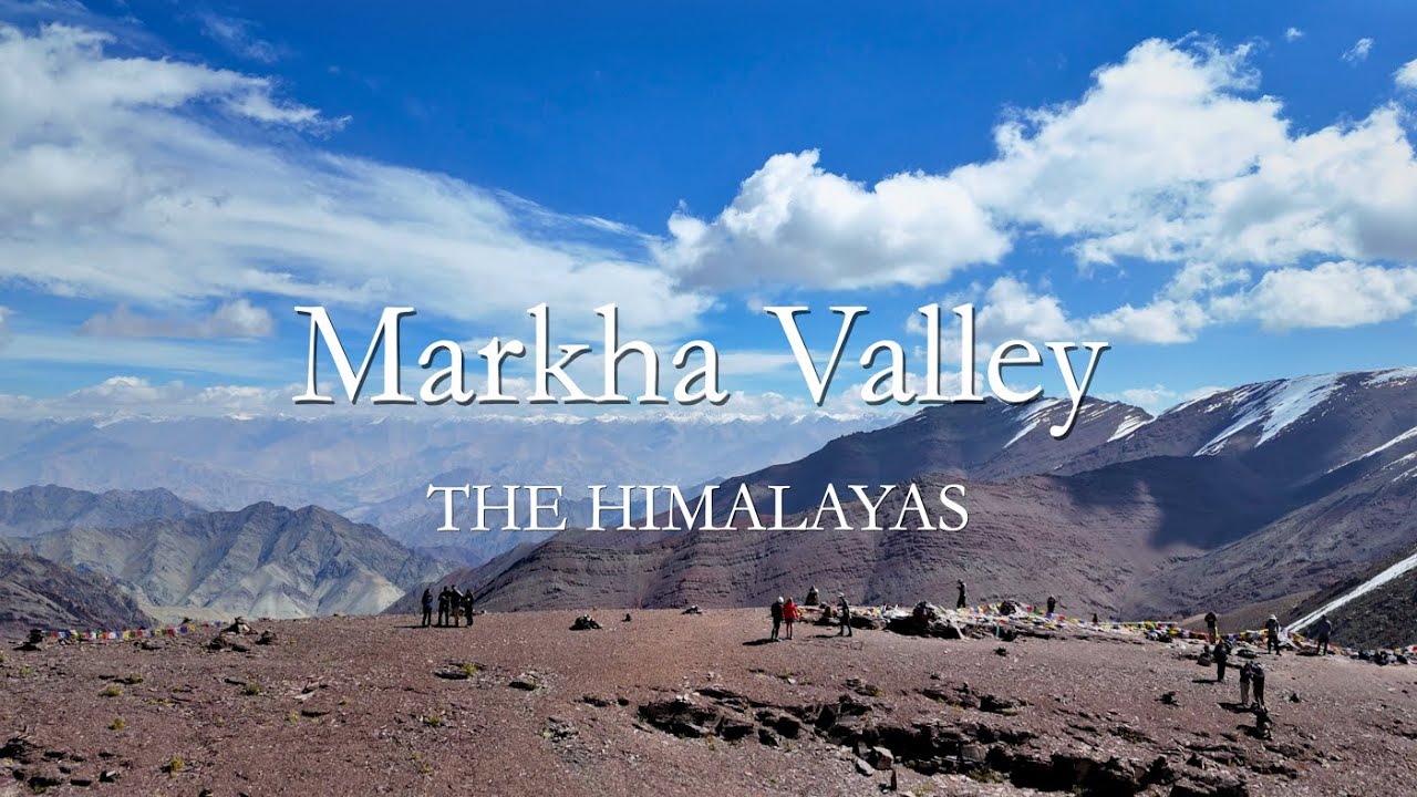 Markha Valley Trek | Silent Journey Across the Himalayas of Ladakh