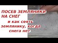 Рассадный марафон | Почему я СЕЮ ЗЕМЛЯНИКУ на рассаду именно 7 февраля | Посев земляники от А до Я