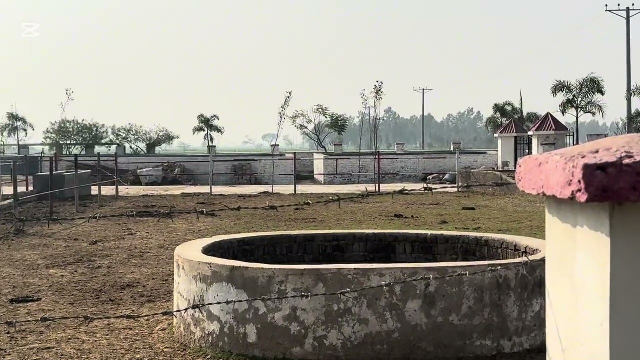 Hamari haweli ke kuche parinde