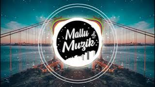 Stereo Hearts x Zaalima (Hindi x English Mashup) | DJ Sid | Mallu Muzik 