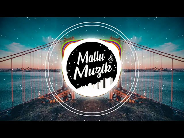 Stereo Hearts x Zaalima (Hindi x English Mashup) | DJ Sid | Mallu Muzik Official class=