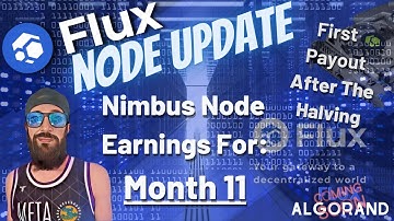 Node Update - 11th Month Nimbus Node Earnings And There Are More Nodes Online After Halving?