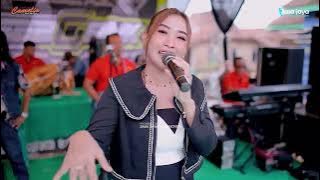 FULL ALBUM CAMELIA PELAN TAPI PASTI - HAPPY PARTY KONSEB GANK - KOLURO CLUWAK PATI | ADR AUDIO