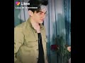 جيبولي ها المجنون