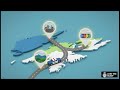 RCMP or RNC? How Policing Actually Works in Newfoundland and Labrador