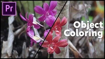 How to Change Color of an Object - Premiere Pro Tutorial