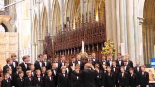 Boys&#39; Choir DAGILĖLIS concert in Truro Cathedral (Truro, United Kingdom)