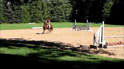 Natasha and Rudy~ Playing around today