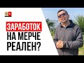 Может ли у блогера быть большая прибыль с продажи фирменных товаров?