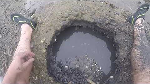 RIBFA #11 Clamming Rome Point July 2021