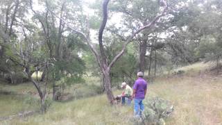Tree cutting close call