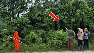 What Did He See in There? We Had to Cut Through Years of Overgrowth to Find Out! screenshot 5