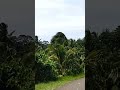 💐💐How beautiful nature 💐💐 #naturalbeauty #lovebondsandamanvlog #youtubeshorts #ytshorts #yt