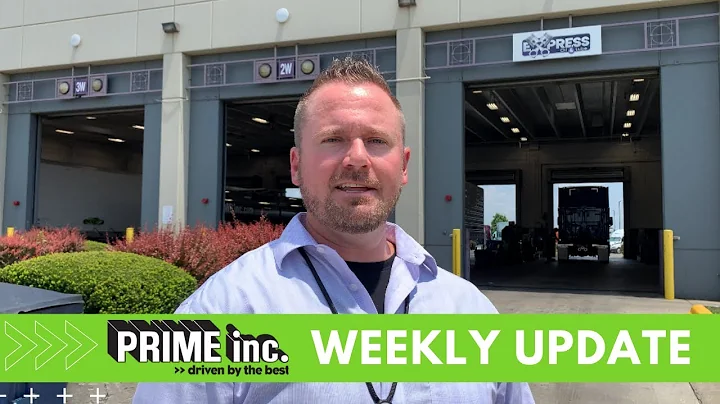 Weekly Update: Inside the Shop