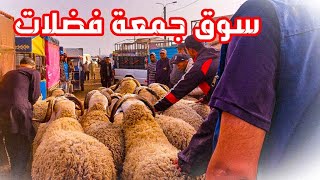 الكركاع من سوق جمعة فضلات الحولي كبدا من 2400 درهم