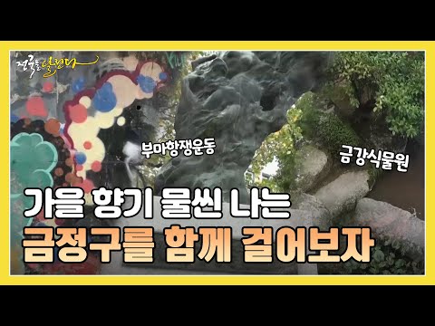 금정구 여행사