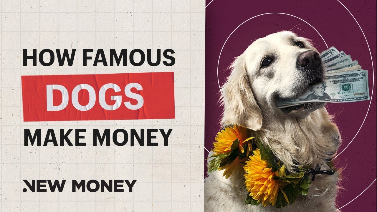 make money showing dogs