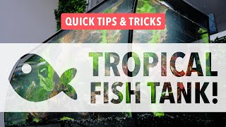 How To Set Up A Tropical Aquarium 132L Fish Tank
