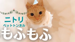 ニトリのペットトンネル
