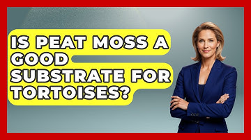 Is Peat Moss A Good Substrate For Tortoises? - Reptilian Wonders