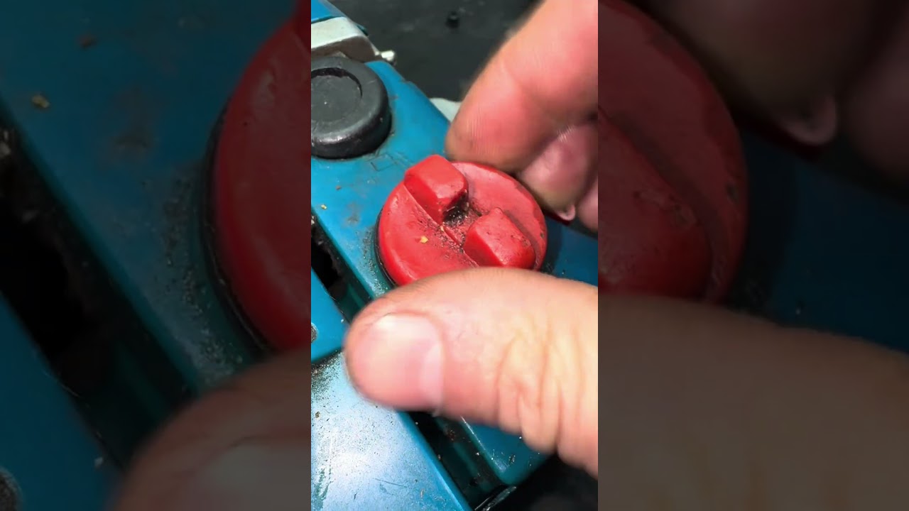 Nu se alimenteaza drujba?