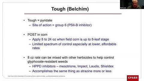 Soybean Weed Control