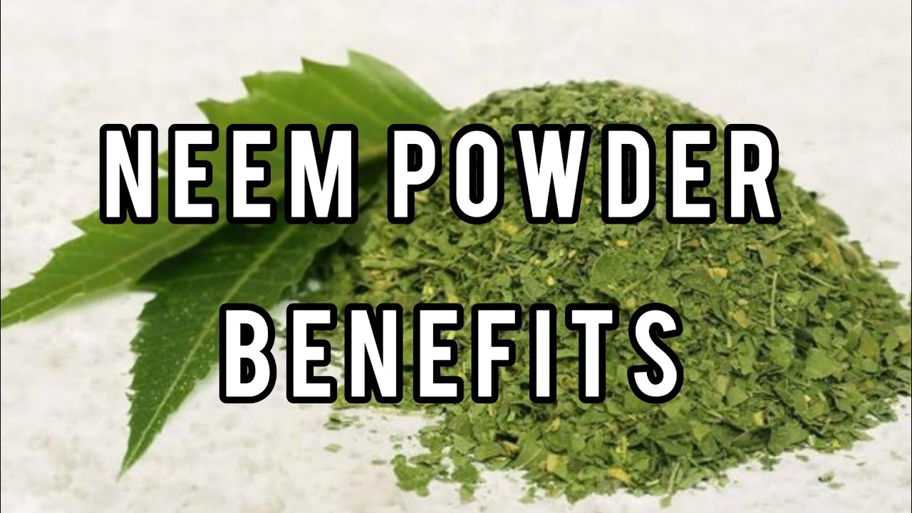 how to make Neem Powder at Home benefits of Neem Powder YouTube