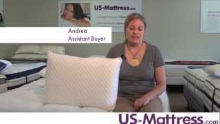 Sealy Memory Foam Bed Pillow by Comfort Revolution