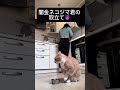 これが俺の催促Style⭐︎