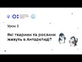 «Антарктичний урок» Урок #2: Які тварини та рослини живуть в Антарктиді ?