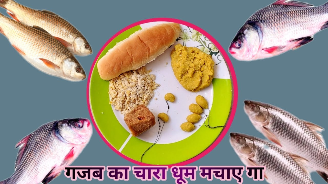 Rohu Katla fish bait Rohu Bite Katla fish Hook bait रोहू मछली का चारा भटूरा मछली का चारा कतला