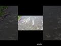Открытие,река Кан!скоро полное видео на канале! #рыбалка #тайга #река #отдыхнаприроде #отдыхнареке