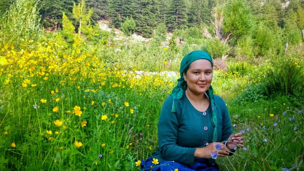 ||Irrigation In Kinnaur HP(Himalayan Wild Flowers)|| kande vlog