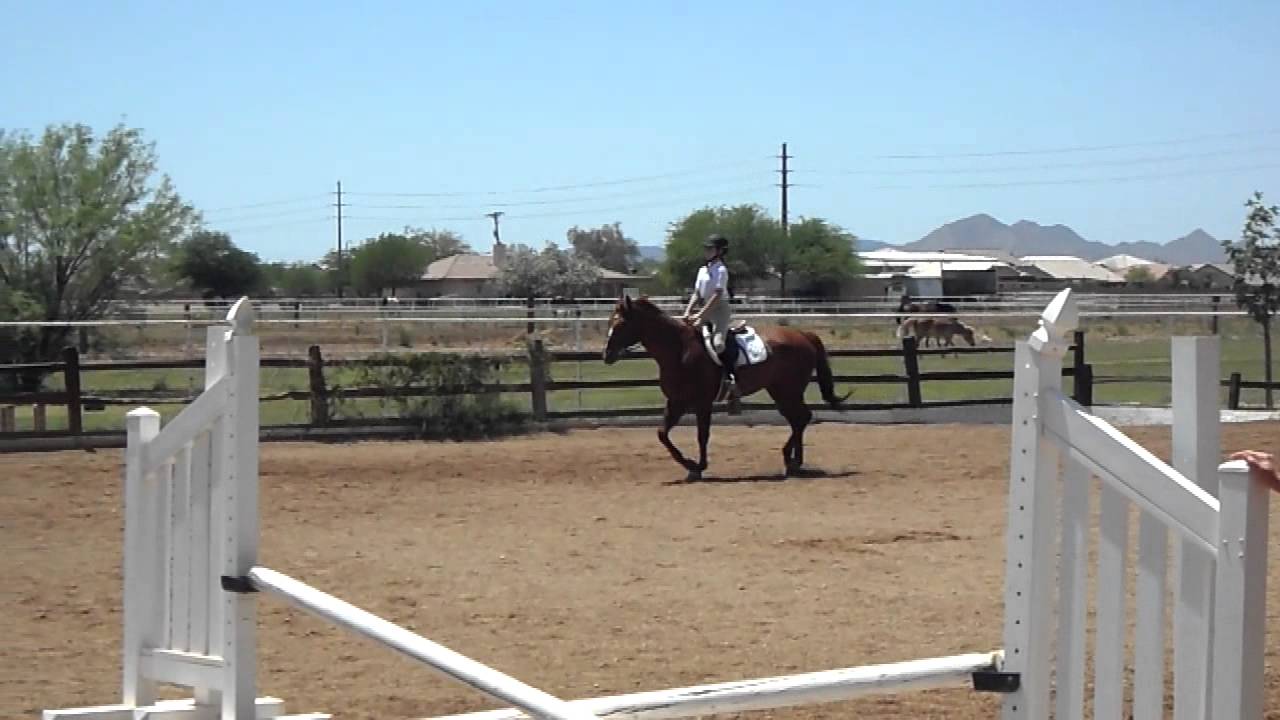 Hunter Hack, Copper State Horse Show YouTube