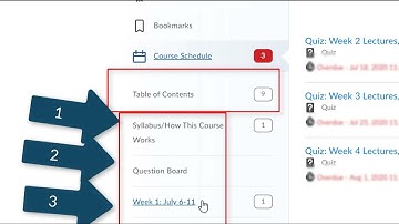 (NEW) How to D2L - Video 7: Navigating the Table of Contents for a course - as of Aug. 13th 2025