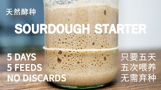 วิธีทำ Sourdough Starter ใน 5 วันโดยไม่ต้องทิ้ง