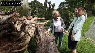Falmouth Victorian Cemetery - on woodpiles, wildlife, and wonder... Net Worth