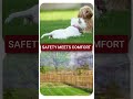 Pet Safety Fence Promo – Motion Graphics Reel