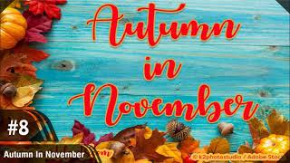 TOP 10 Script Fonts You Need To Be Using