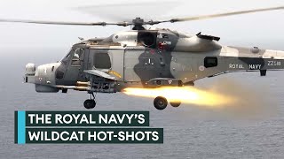 815 Naval Air Squadron: The Wildcat maritime attack helicopter crack team by Forces News 32,540 views 5 days ago 4 minutes, 35 seconds