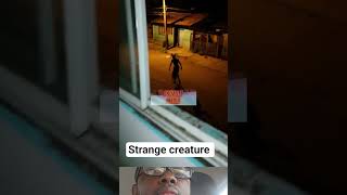 strange creature in your environment #trend #funny #anxiety