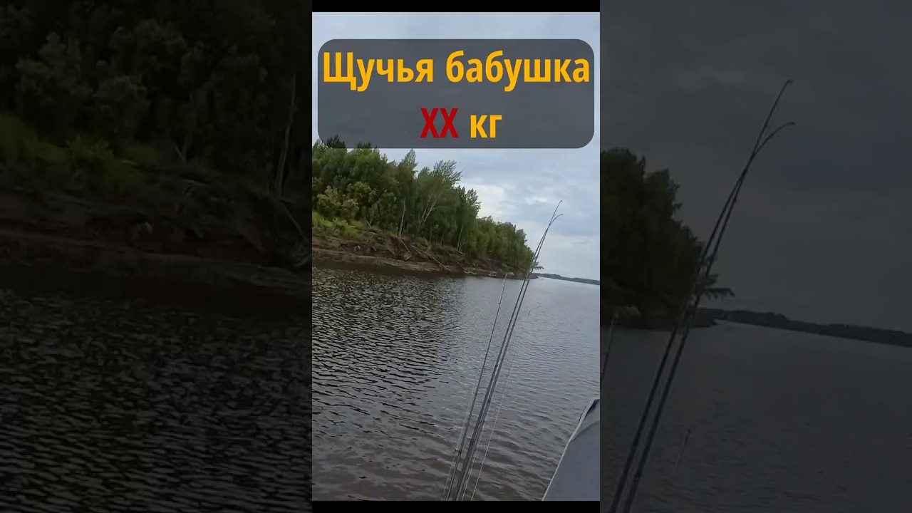 Щука-монстр и подсак #рыбалка  #спиннинг #трофейнаящука #джерк