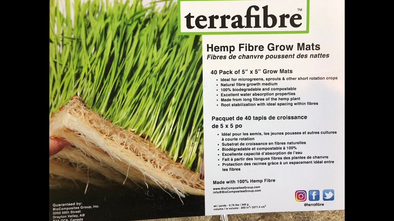 Sprouts on a Hemp Mat YouTube