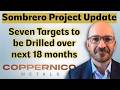 Seven Discovery Targets to be Drilled over the next 18 months explains Coppernico CEO Ivan Bebek