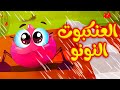 العنكبوت النونو - طيور بيبي Toyor Baby