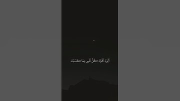 "تلاوة تهز القلوب: اليوم تُجزى كل نفس بما كسبت ✨" #طمأنينة #اكسبلور #المصحف #قرآن