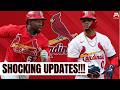 This Keeps Getting CRAZIER... | Daily St. Louis Cardinals News &amp; Rumors