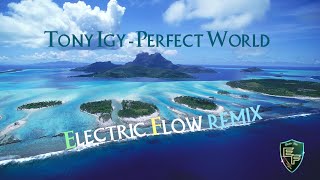 Tony Igy  - Perfect World (Electric Flow Remix) Resimi