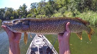 Whopper Plopper 75 Float And Fish Smallmouth And Pike