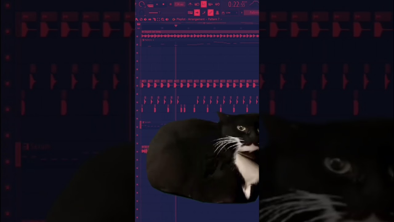 more silly meme phonk ;; 